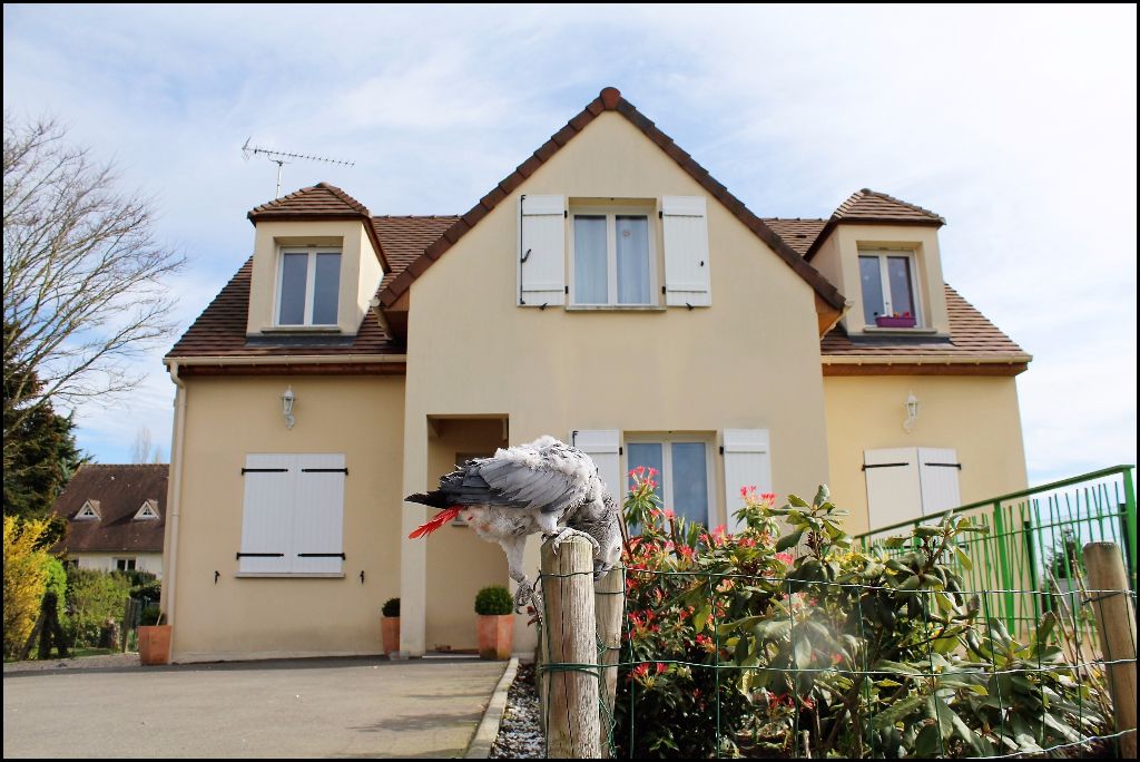 Bienvenue chez nous